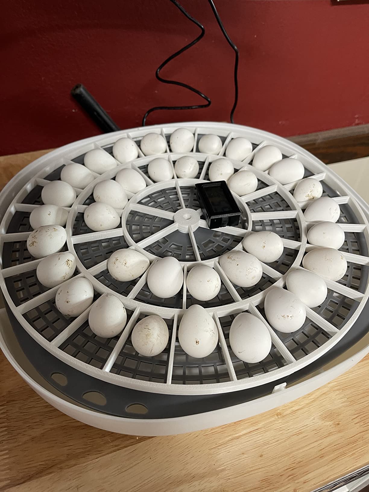 Generic 3D Printed Quail Egg Turner for Nurture Right 360 Incubator customer photo 2
