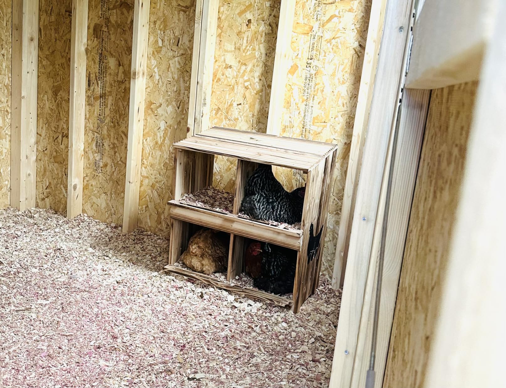 Nesting Boxes for Chickens - Wooden Chicken Nesting Box for Poultry Heavy Duty 4 Compartments Laying Eggs Nest Box Wall Mount for Chickens, Hens, Ducks customer photo 2