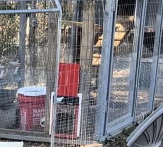 RUN-CHICKEN Door Eternal – Solar Automatic Chicken Coop Door with Built-in Solar Power & Battery Backup, Smart App & Timer Control, Weatherproof Aluminum, Predator-Proof, Easy to Install (Red) customer photo 1