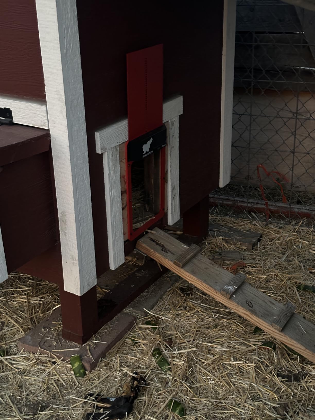 RUN-CHICKEN Door Eternal – Solar Automatic Chicken Coop Door with Built-in Solar Power & Battery Backup, Smart App & Timer Control, Weatherproof Aluminum, Predator-Proof, Easy to Install (Red) customer photo 2