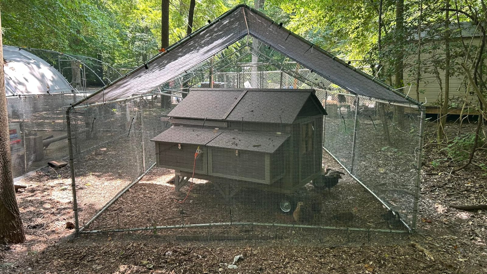 Aivituvin Chicken Coop 67.3