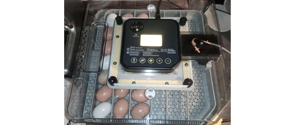 48 Incubators for Hatching Eggs, Egg Incubator with Automatic Egg Turning and Humidity Control, Temp Control, Egg Candler, Auto Water Refilling, Incubator for Chicken Eggs, Duck and Quail Eggs customer photo 2