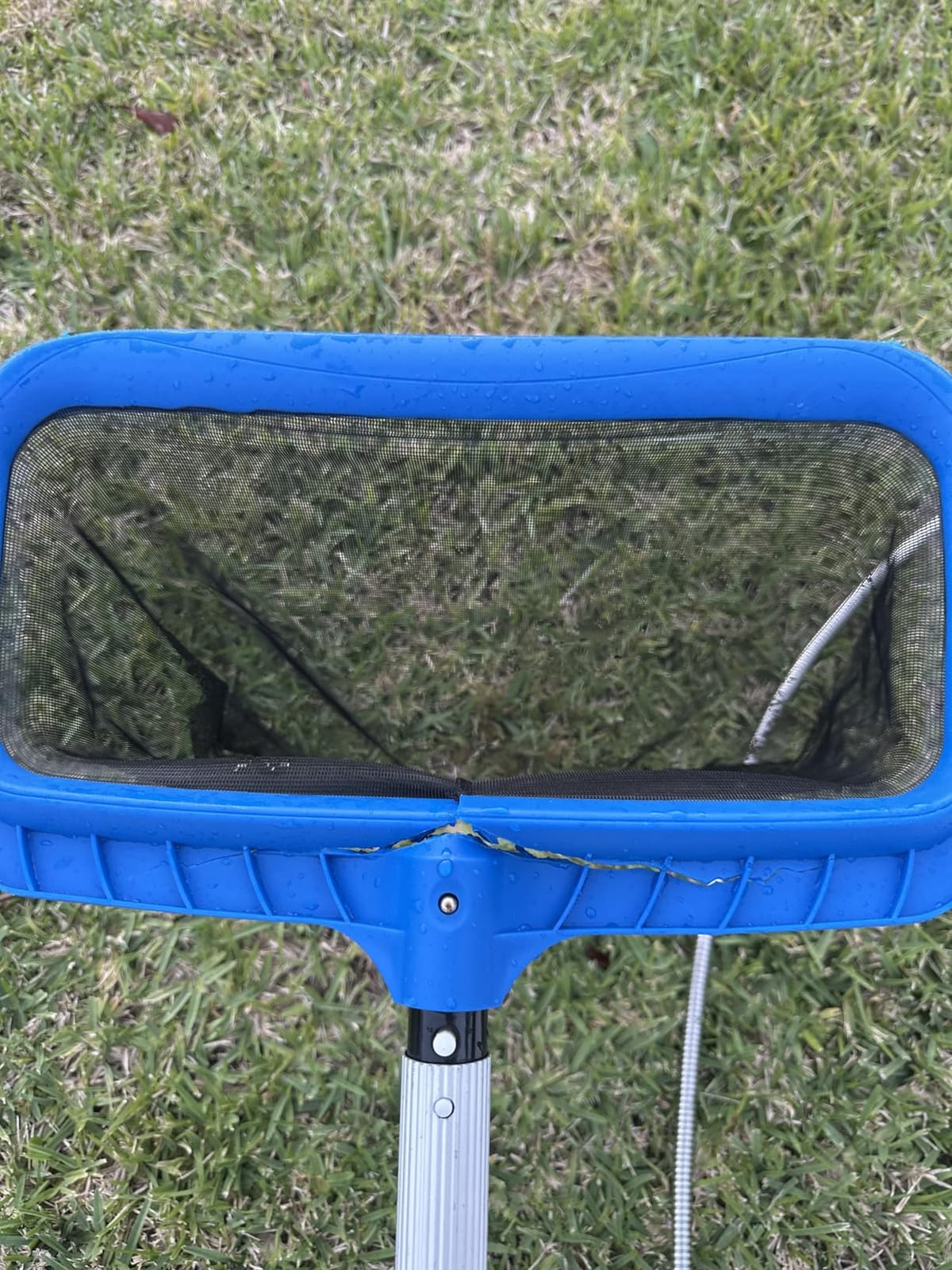 Pool Skimmer Net for Cleaning – Heavy Duty Deep Mesh Pool Net Skimmer - Fine Leaf Rake Net for Swimming Pools, Ponds - Strong Frame - Fits Standard Pool Poles (Net Only, No Pole) - Blue customer photo 1